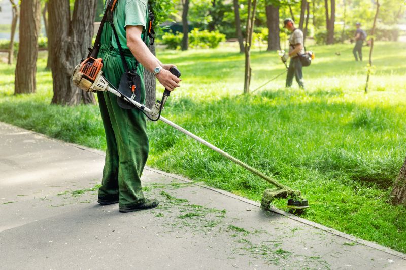 Lawn Care Service