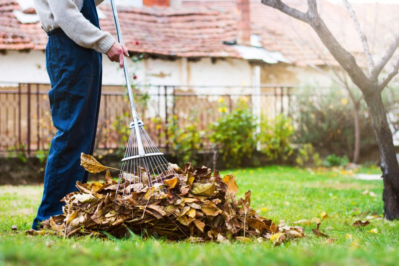 Leaves Being Raked Professionally