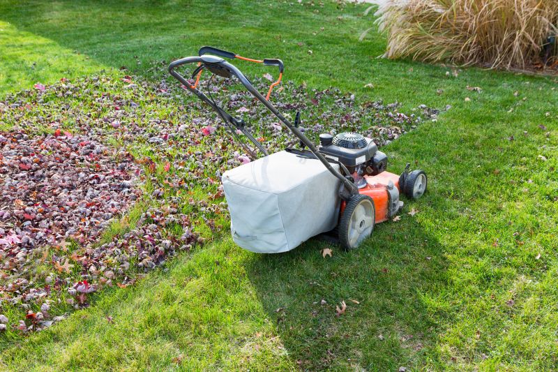 Lawn Equipment for Fall Cleanup