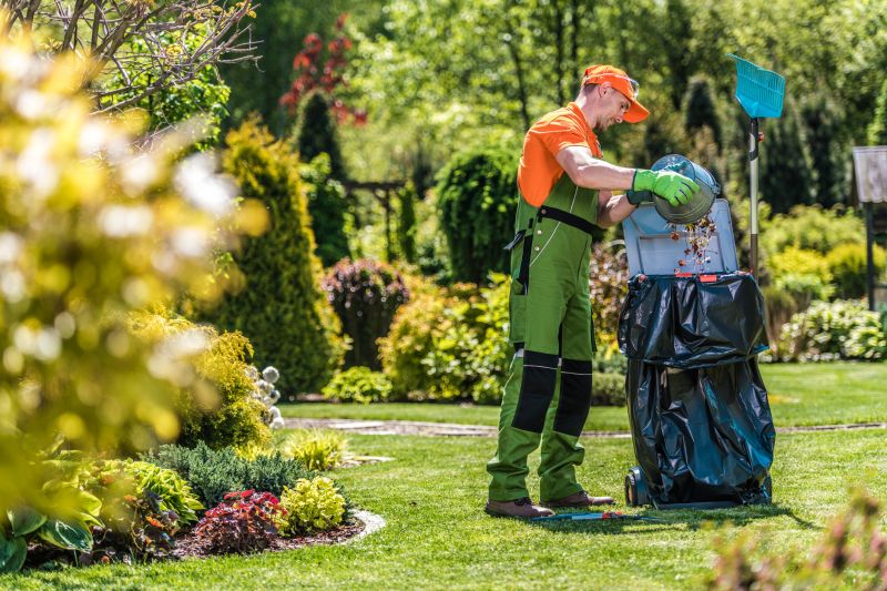 Professional Yard Care Service