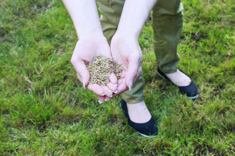 Fall Lawn Preparation