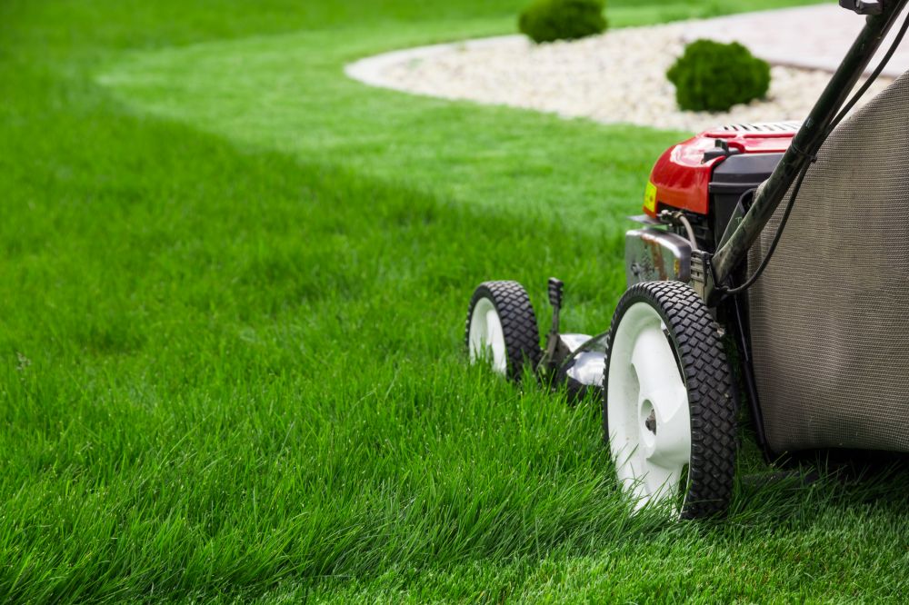 Grow your Lawn Care Service business